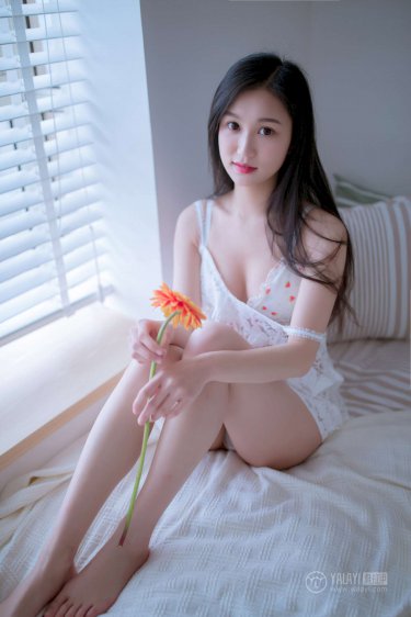 小白菜奇案